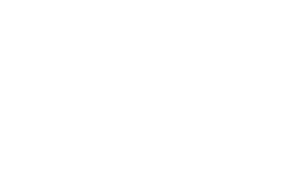 Imported static asset: vendor/webflow/images/ms_logo.png