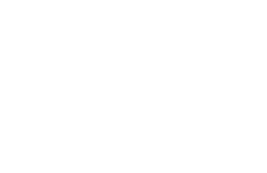 Imported static asset: vendor/webflow/images/salesforce_logo.png
